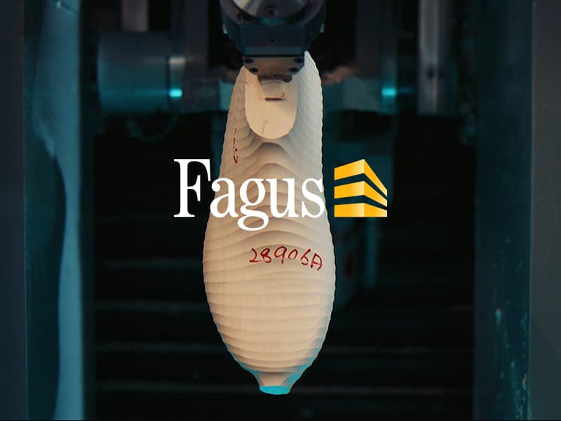 fagus